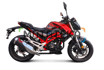 Мотоцикл дорожный TMBK DUKES PRO Red Black с ПТС